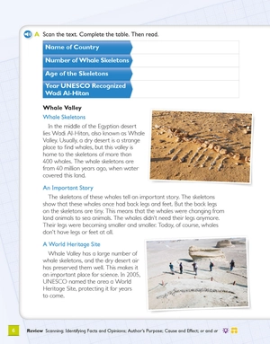 bộ global stage literacy book and language book level 4 - Ảnh 15