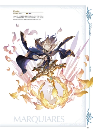 bộ granblue fantasy グランブルーファンタジー graphic archive iv - Ảnh 7