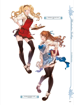 bộ granblue fantasy グランブルーファンタジー graphic archive iv extra works - Ảnh 6