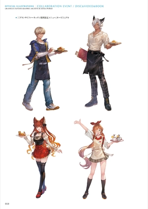 bộ granblue fantasy グランブルーファンタジー graphic archive ix extra works - Ảnh 12