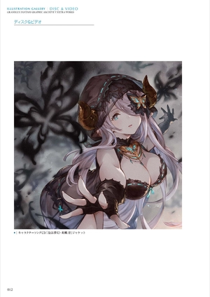bộ granblue fantasy グランブルーファンタジー graphic archive v extra works - Ảnh 13