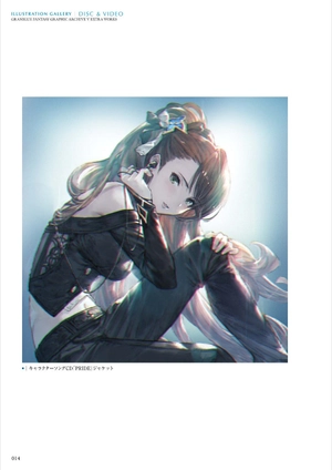 bộ granblue fantasy グランブルーファンタジー graphic archive v extra works - Ảnh 15