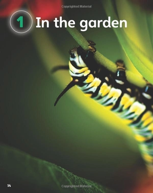 bộ guess what! level 3 pupil's book british english - Ảnh 9