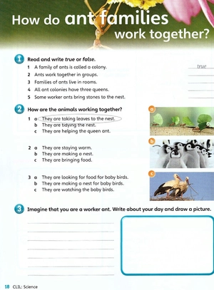 bộ guess what! level 5 activity book with online resources british english - Ảnh 9