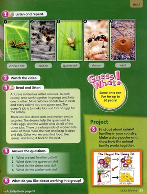 bộ guess what! level 5 pupil's book british english - Ảnh 11