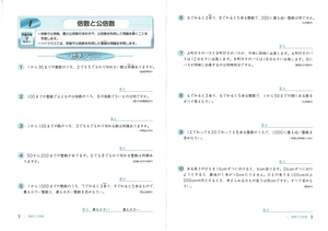 bộ haikurasu tesuto shougaku 5 nen sansuu bunshou dai - Ảnh 4