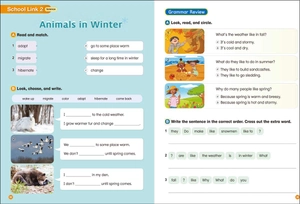 bộ hand in hand 4 workbook - Ảnh 5