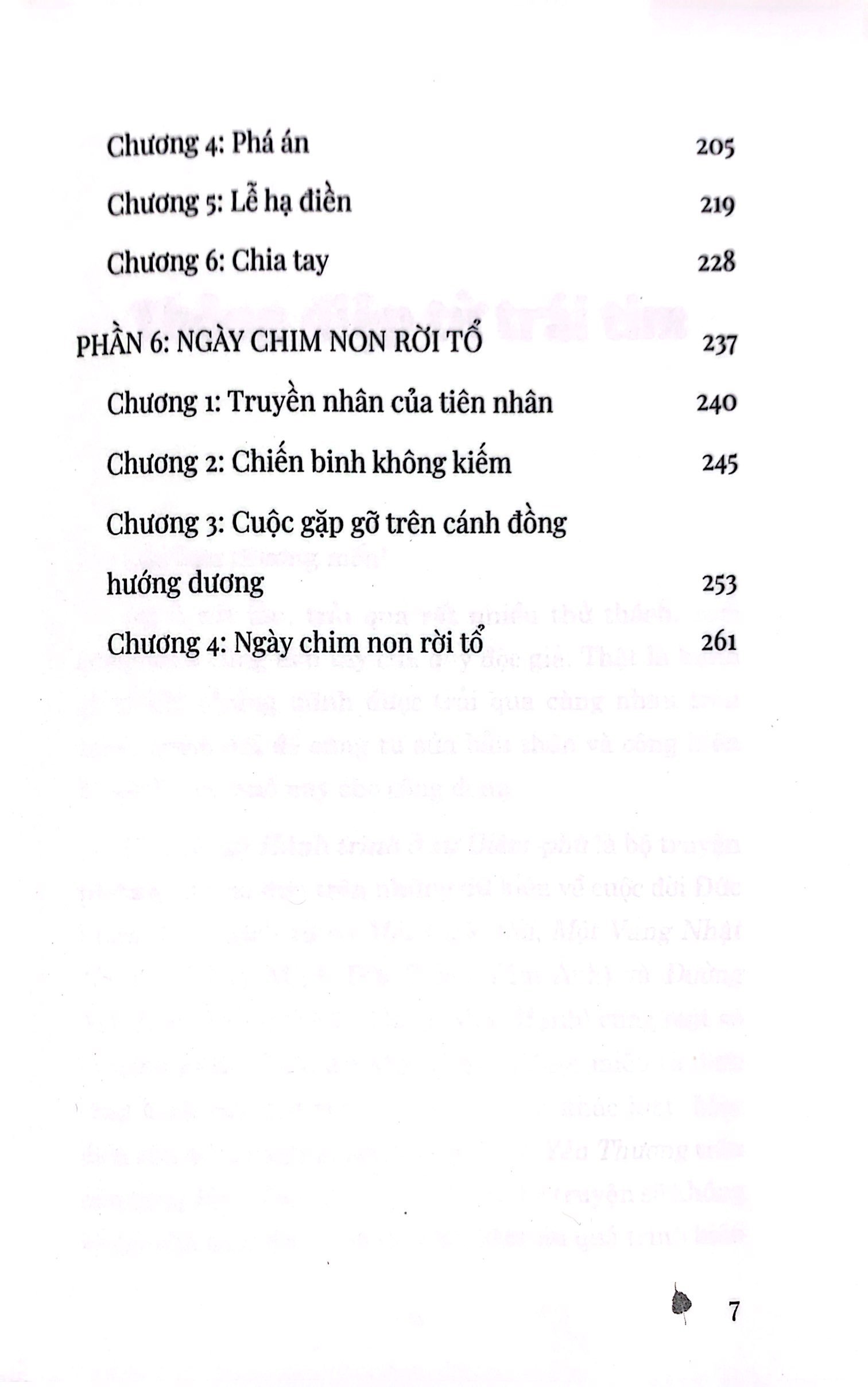 bộ hành trình ở xứ diêm-phù - tập 1 - Ảnh 8