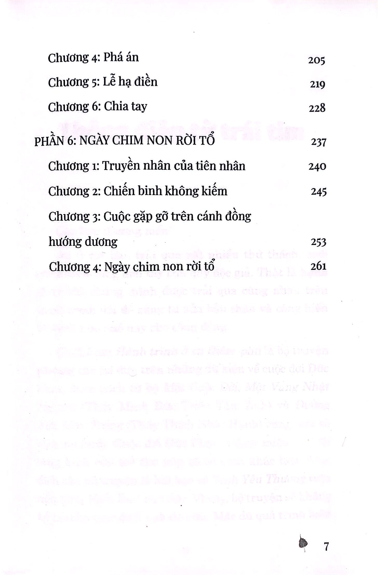 bộ hành trình ở xứ diêm-phù - tập 1 - Ảnh 9