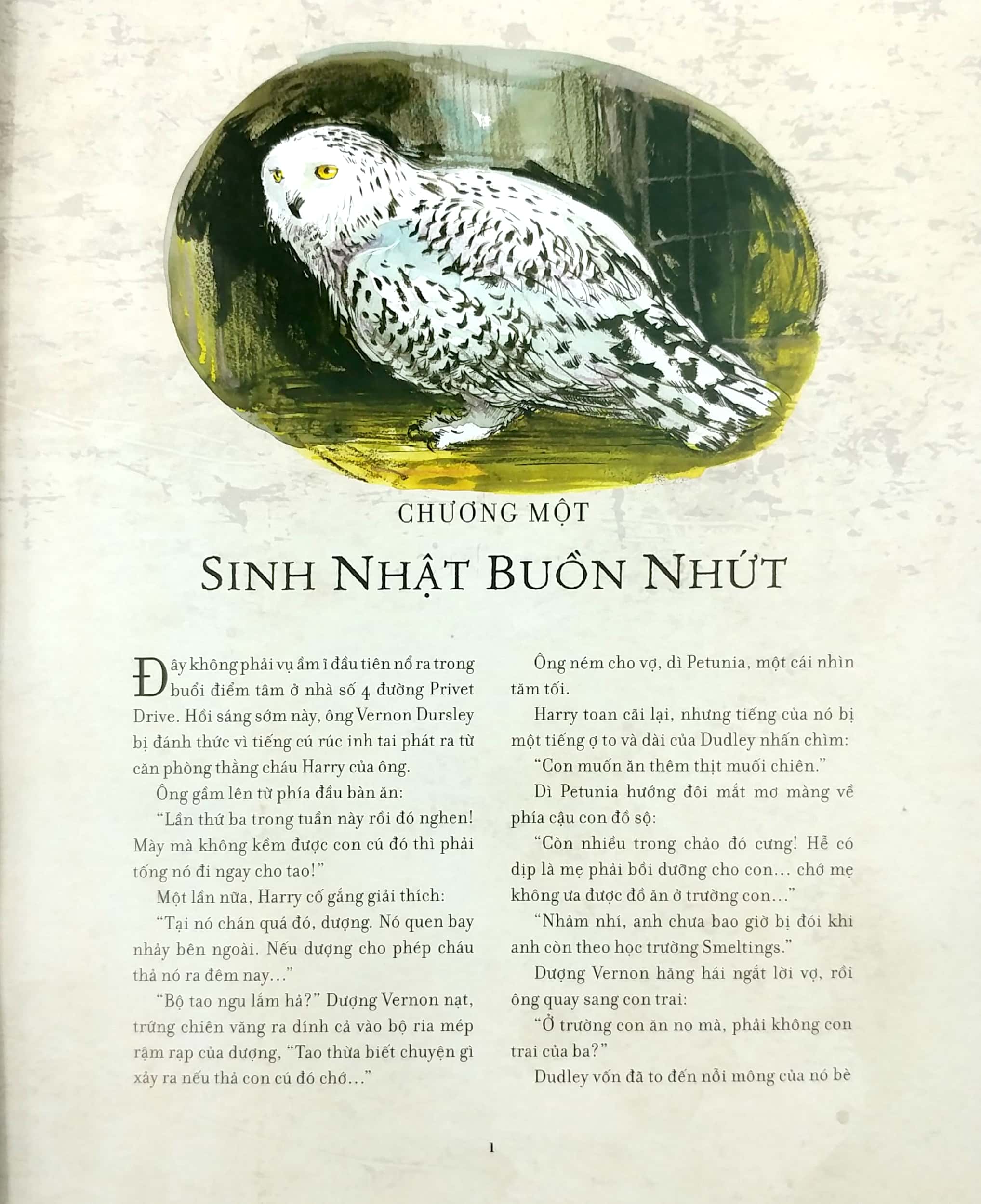 bộ harry potter và phòng chứa bí mật - (bản màu) - Ảnh 3