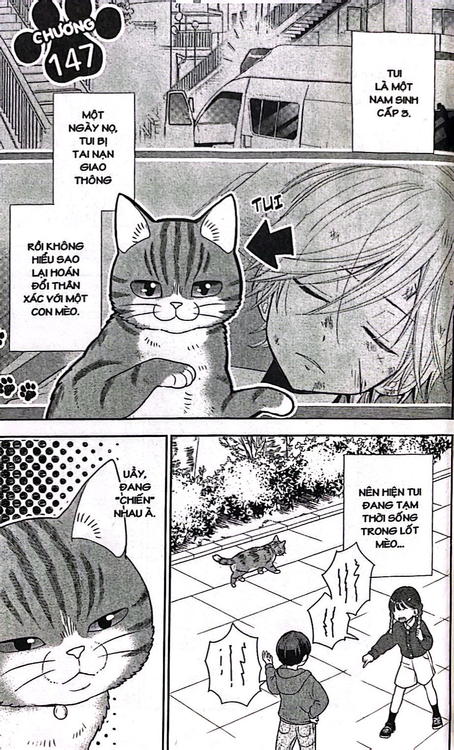 Bộ Hế Lô Nyao - Chuyện Về Chú Mèo Chuyên Hóng Hớt - Tập 12 - Ảnh 5