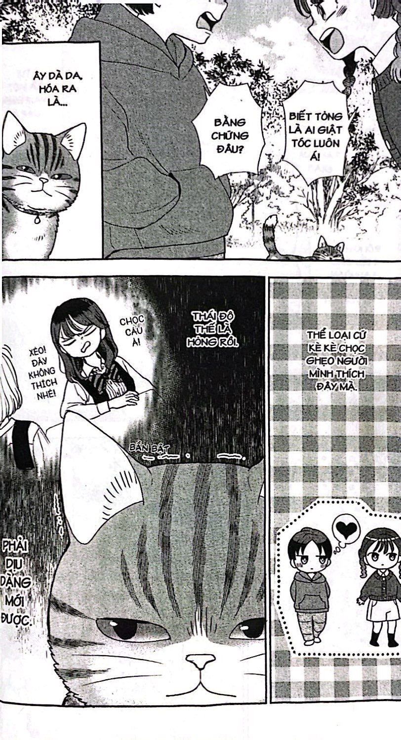 Bộ Hế Lô Nyao - Chuyện Về Chú Mèo Chuyên Hóng Hớt - Tập 12 - Ảnh 6
