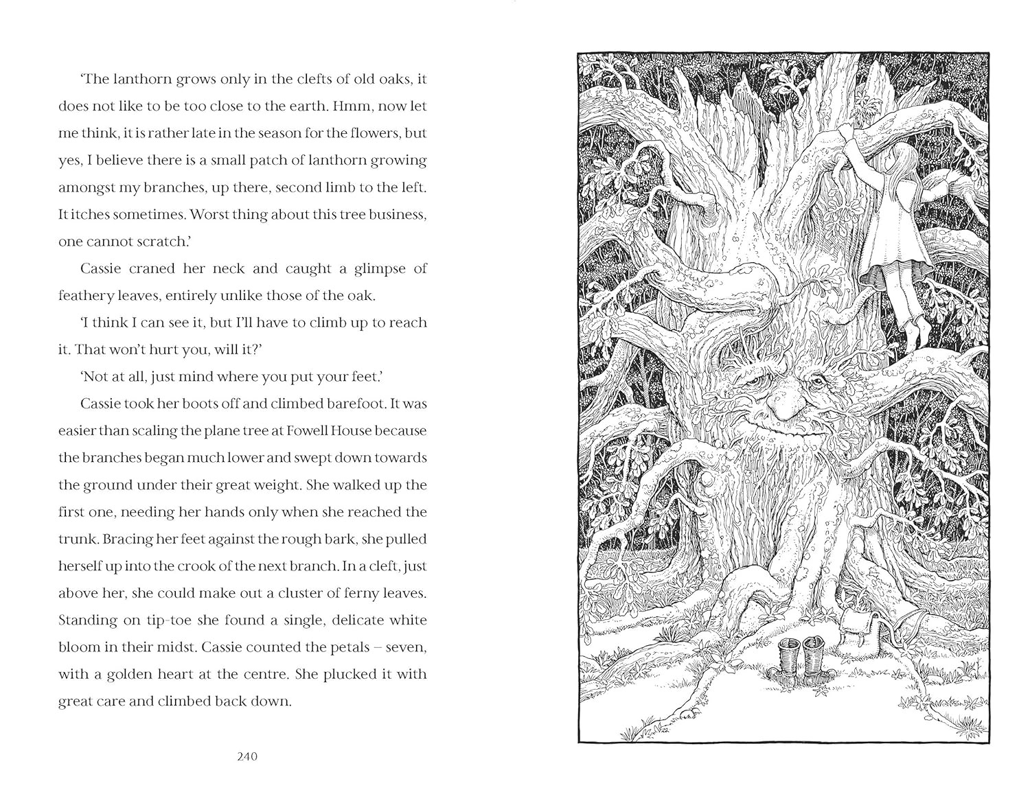 Bộ Hedgewitch - Book 1 - Ảnh 7