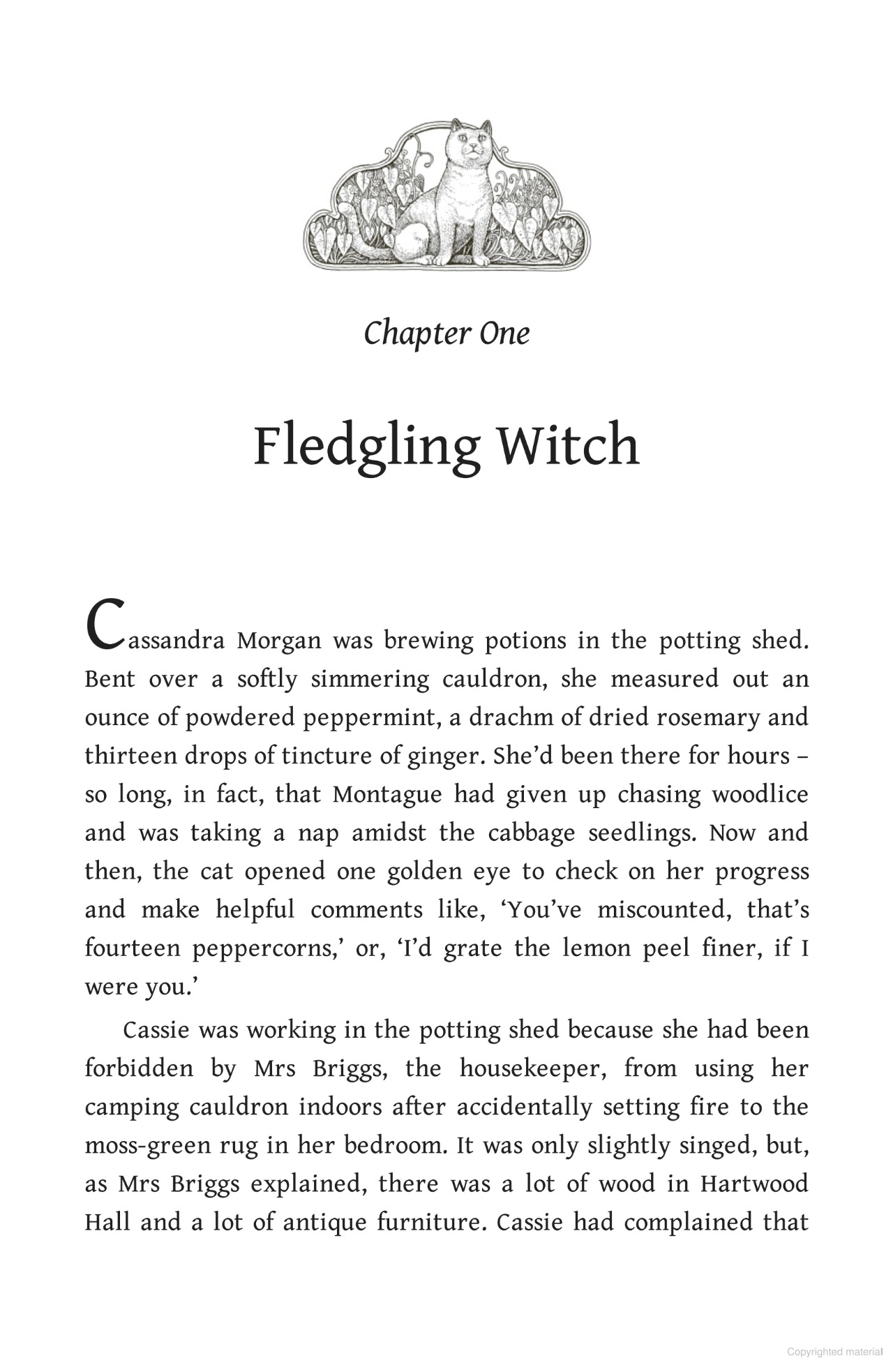 Bộ Hedgewitch - Book 2 - Woodwitch - Ảnh 3