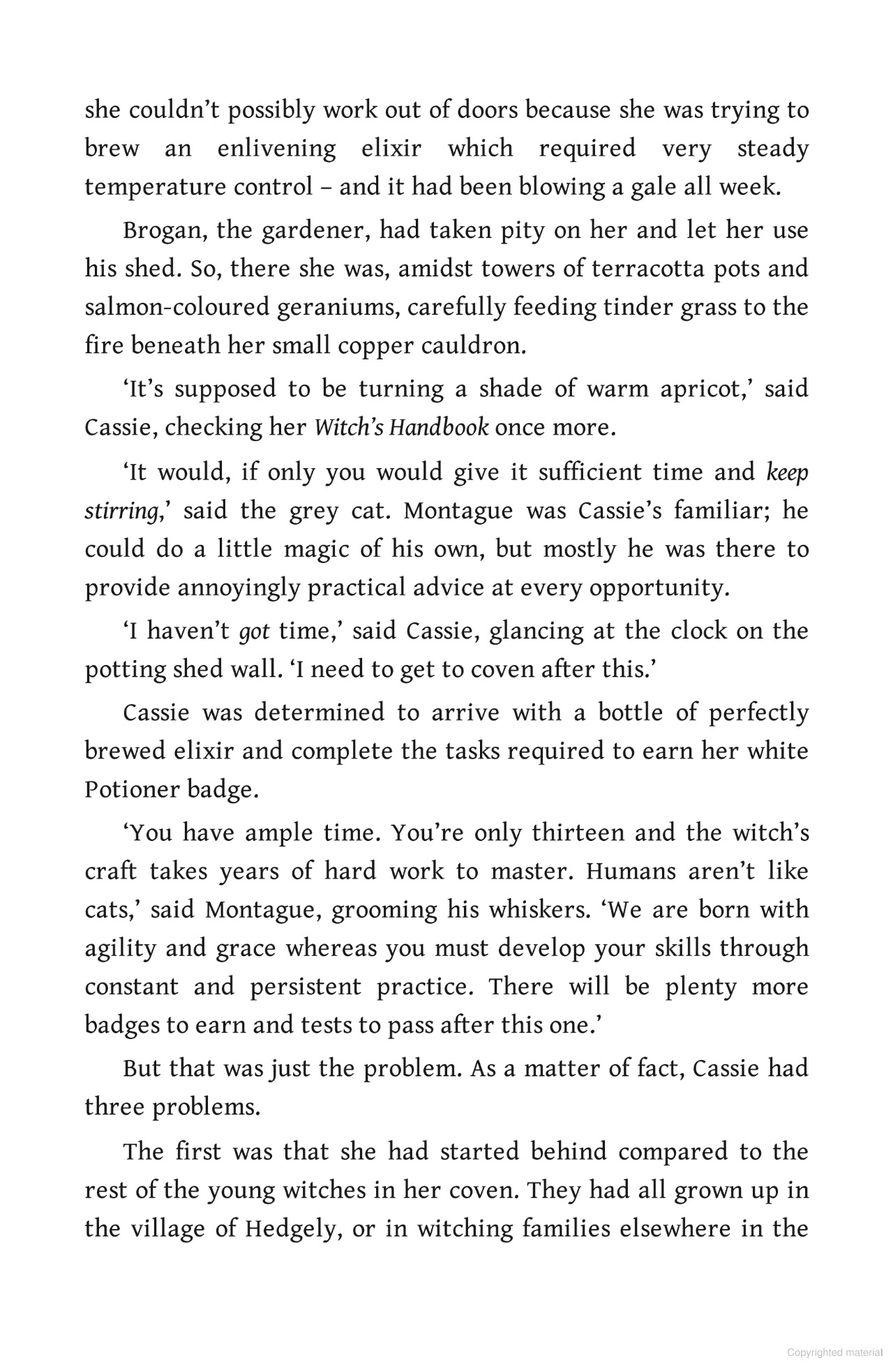 Bộ Hedgewitch - Book 2 - Woodwitch - Ảnh 4