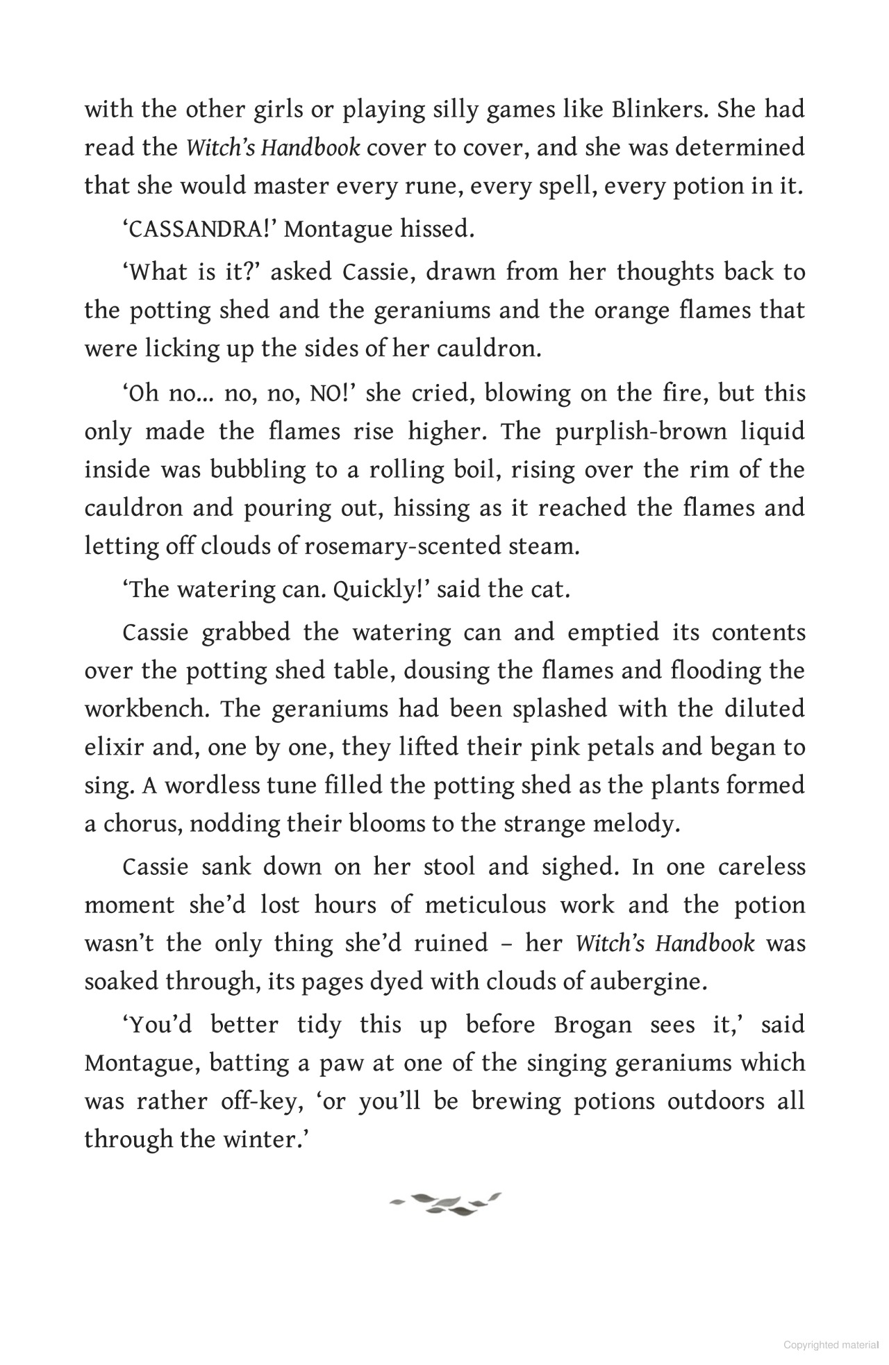 Bộ Hedgewitch - Book 2 - Woodwitch - Ảnh 6