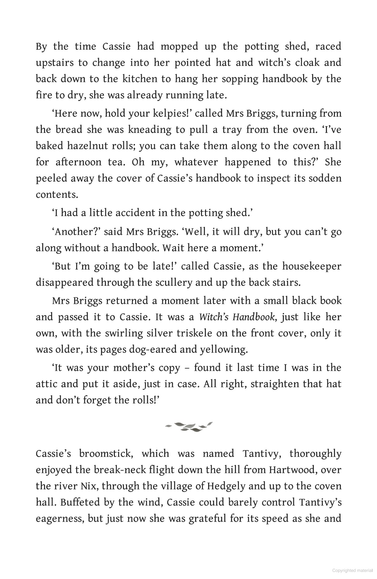 Bộ Hedgewitch - Book 2 - Woodwitch - Ảnh 7