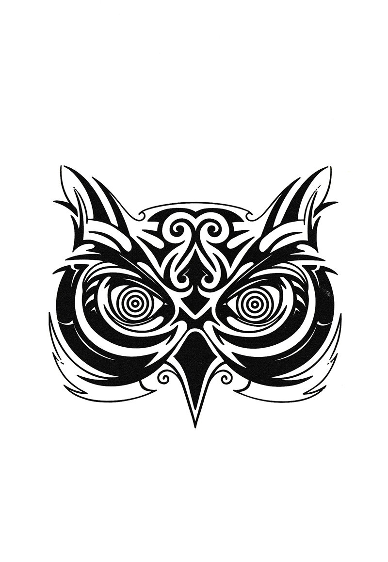 bộ hiệu ứng chim mồi - tập 1 (tái bản 2023) - Ảnh 3