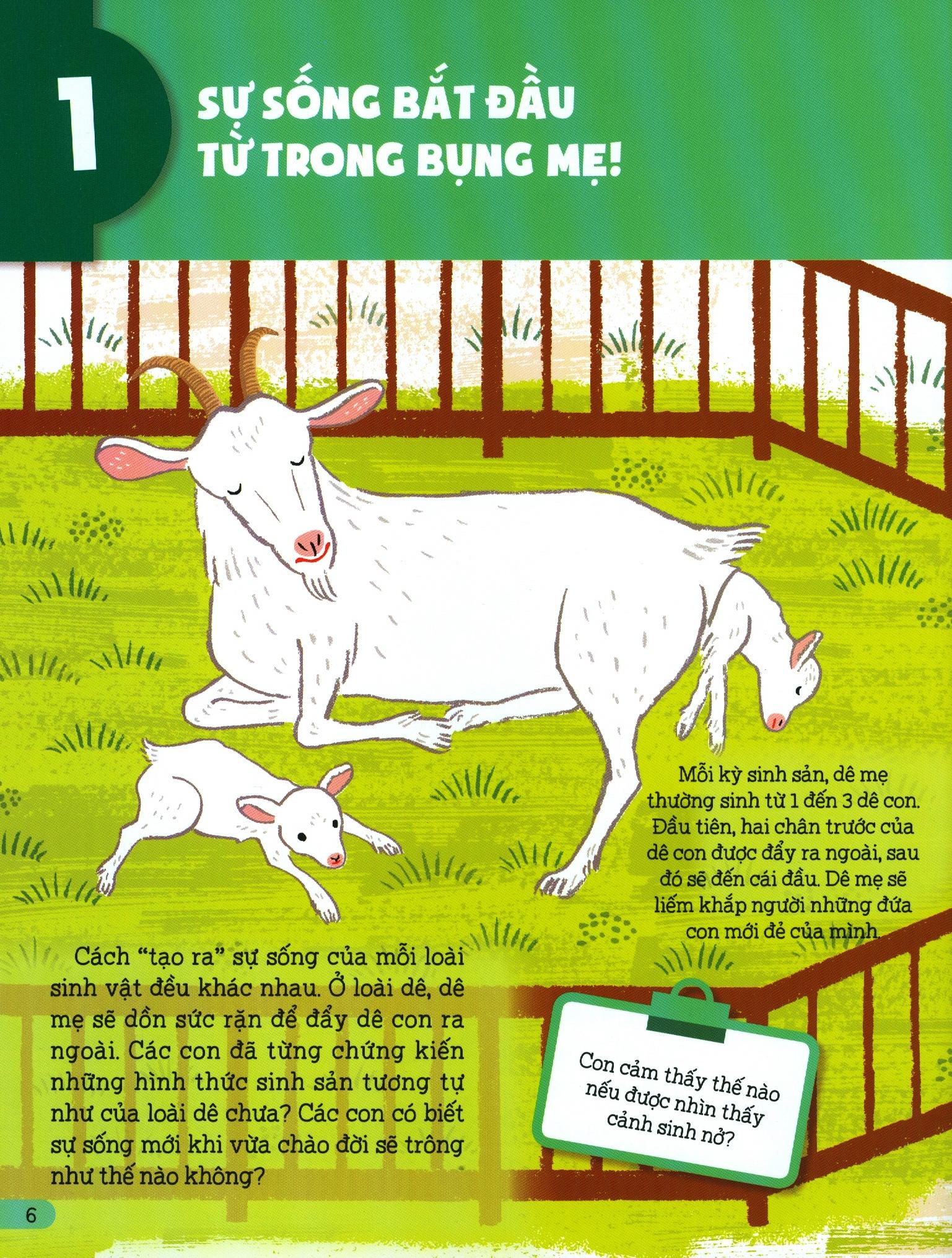 bộ hiểu về sự sống - tập 1 - sự sống bắt đầu từ đâu - Ảnh 5