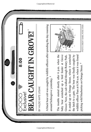 bộ hilde cracks the case #2: bear on the loose! - Ảnh 12