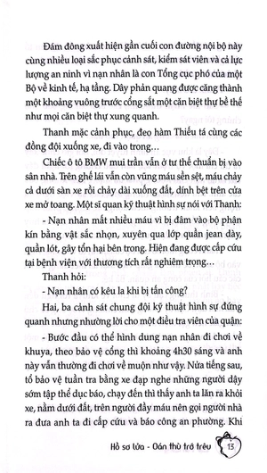 bộ hồ sơ lửa 2: oán thù trớ trêu - Ảnh 9