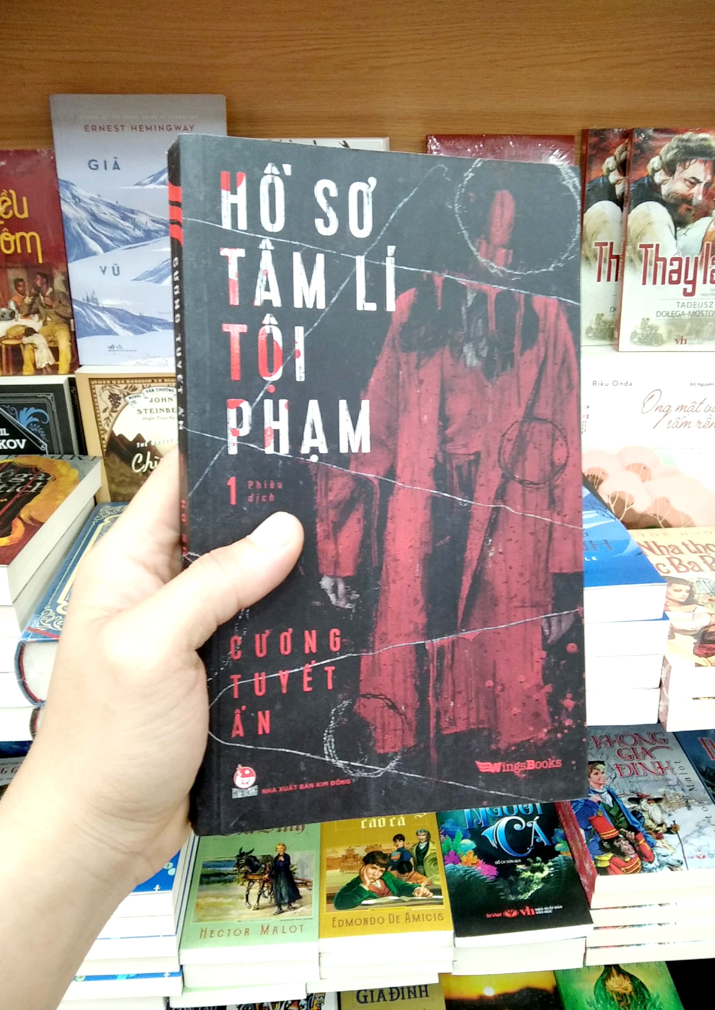 bộ hồ sơ tâm lí tội phạm - tập 1 - Ảnh 7