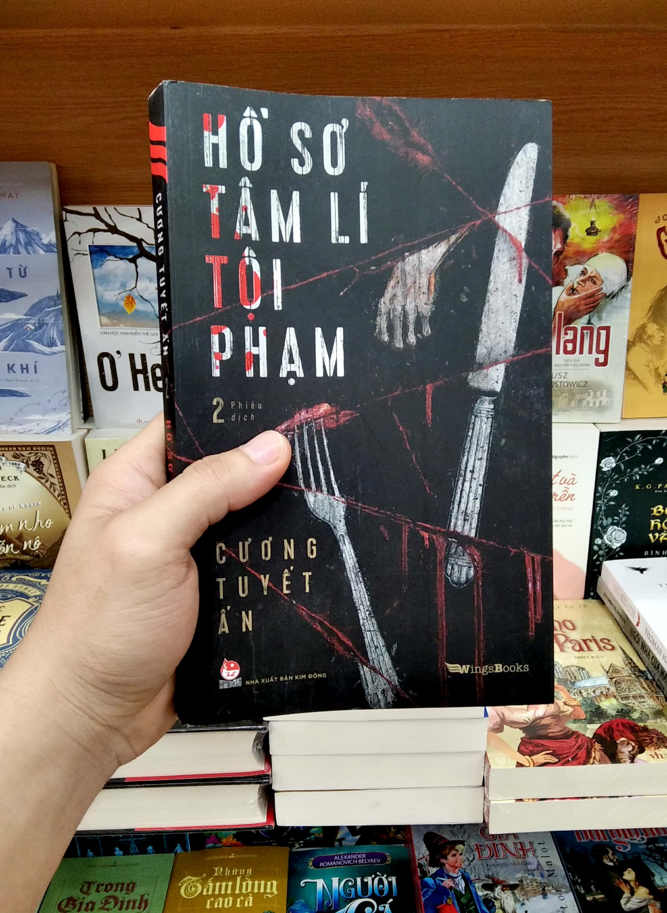 bộ hồ sơ tâm lí tội phạm - tập 2 - Ảnh 7