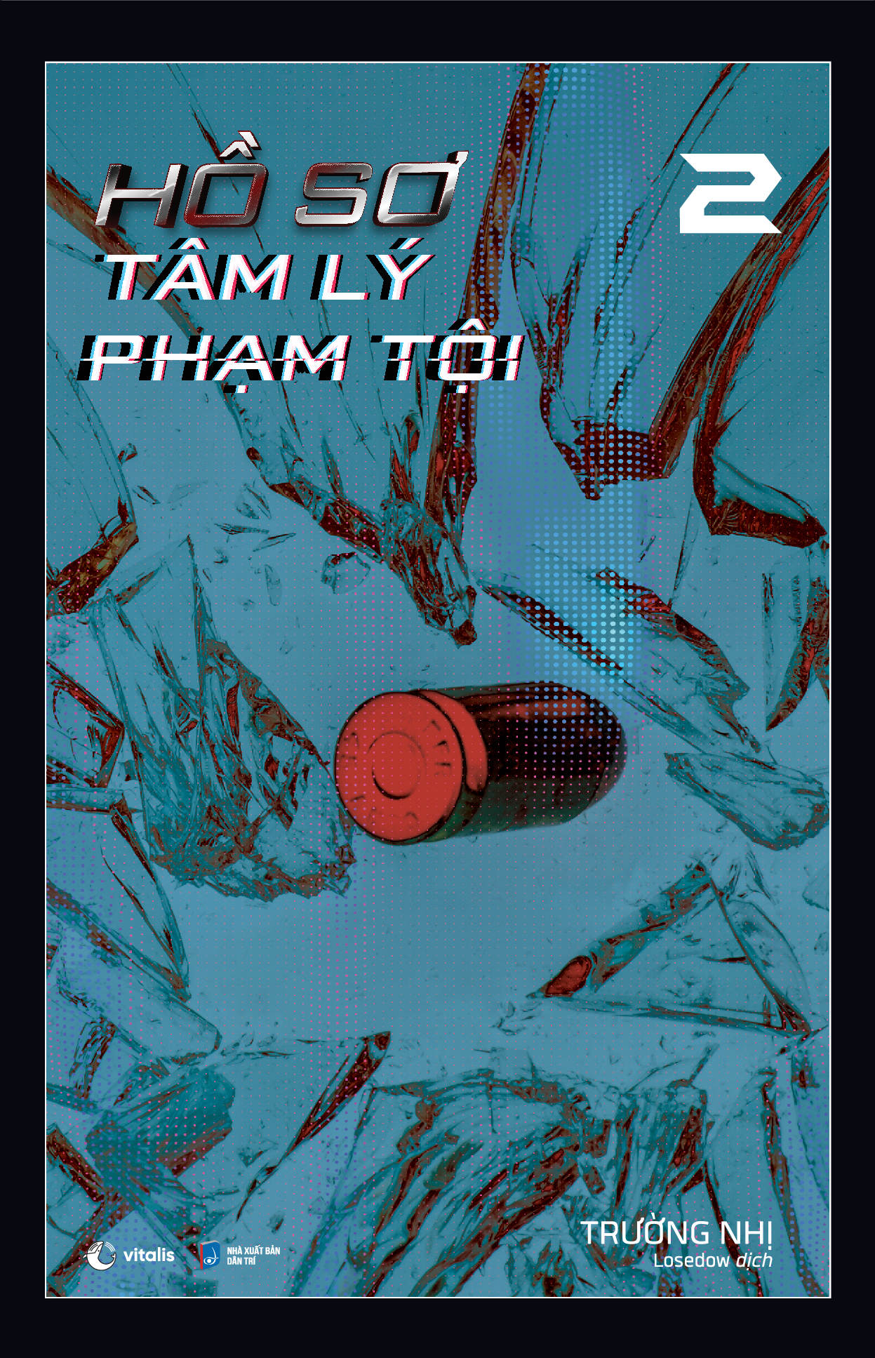 bộ hồ sơ tâm lý phạm tội 2 - Ảnh 2