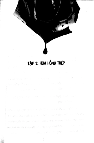 bộ hoa hồng thép - bút lục về các vụ án quốc tế đặc biệt (tập 2) - Ảnh 3