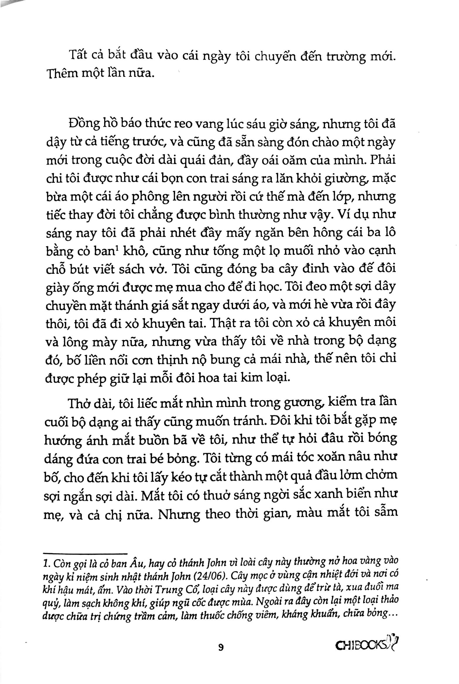 bộ hoàng tử lạc loài - phần 5 series thế giới của tiên sắt - Ảnh 6