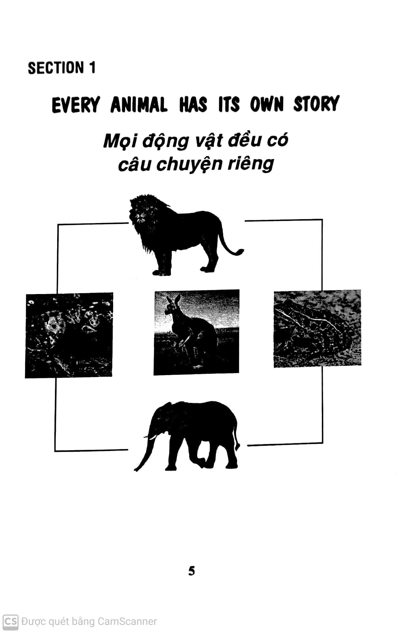 bộ học tiếng anh qua 100 mẩu chuyện về loài vật (song ngữ anh - việt) - Ảnh 4