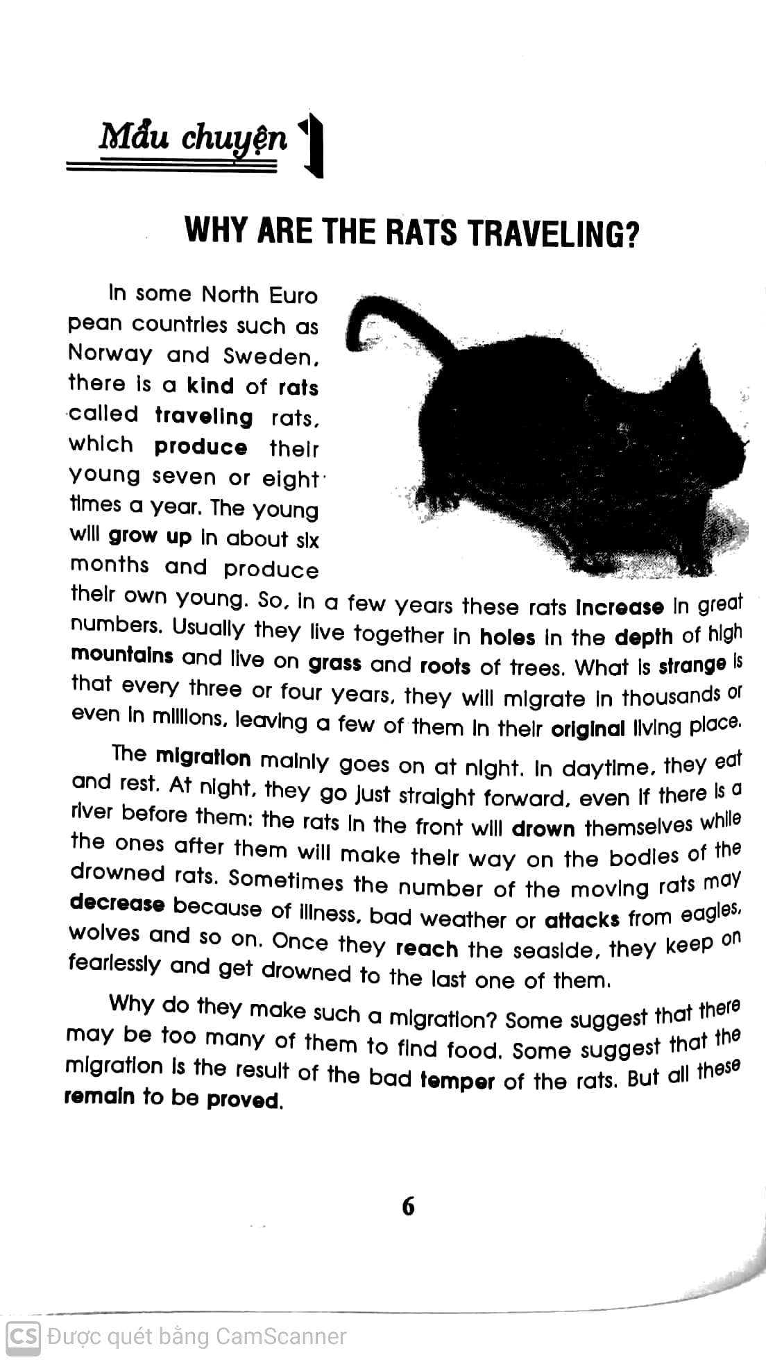bộ học tiếng anh qua 100 mẩu chuyện về loài vật (song ngữ anh - việt) - Ảnh 5