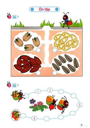 bộ học toán cùng kiến càng 2 - Ảnh 4