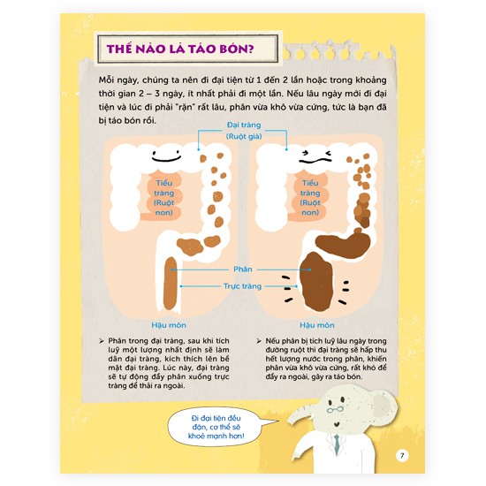bộ hỏi đáp khoa học vui: nốt ruồi có phải là phân của ruồi không? 32 câu hỏi thú vị về sức khỏe - Ảnh 3