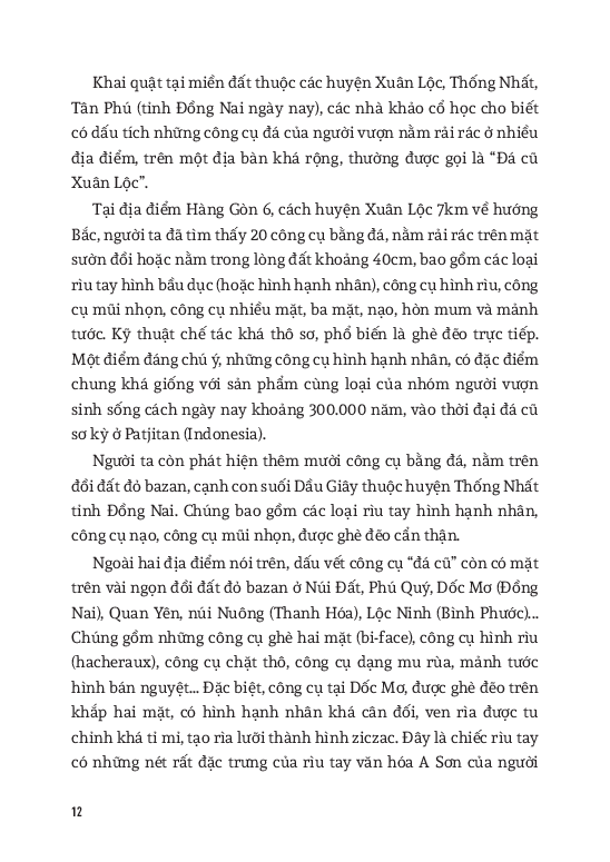 Bộ Hỏi Đáp Lịch Sử Việt Nam - Tập 1 - Từ Khởi Thủy Đến Thế Kỷ X - Ảnh 9