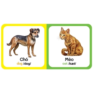 bộ hộp baby's first picture dictionary - từ điển bằng hình đầu tiên của bé - dành cho bé từ 0-6 tuổi - hộp vàng (trọn bộ 9 cuốn) - 2022 - Ảnh 2