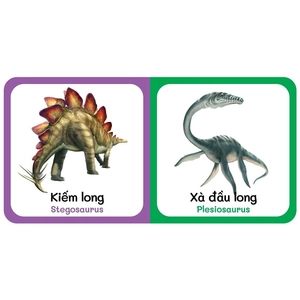 bộ hộp baby's first picture dictionary - từ điển bằng hình đầu tiên của bé - dành cho bé từ 0-6 tuổi - hộp vàng (trọn bộ 9 cuốn) - 2022 - Ảnh 7