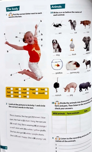 bộ hopscotch: 4 - Ảnh 3