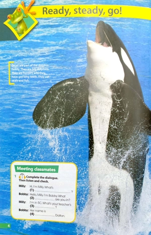 bộ hopscotch 5 pupil's book - Ảnh 4