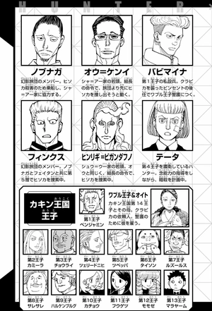 bộ hunter x hunter 37 - Ảnh 5