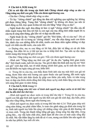 bộ hướng dẫn học ngữ văn 8 - tập 1 (bám sát sgk chân trời sáng tạo) - Ảnh 13