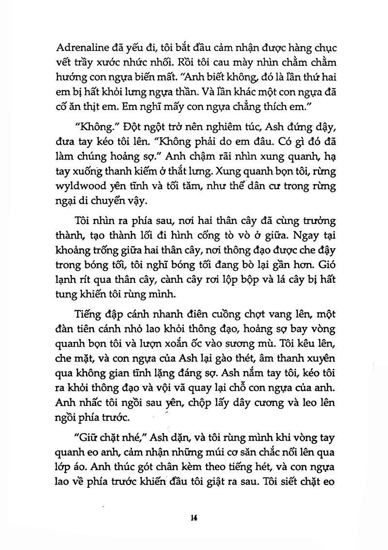 bộ huyền thoại sắt - phần 7 - series thế giới của tiên sắt - Ảnh 10