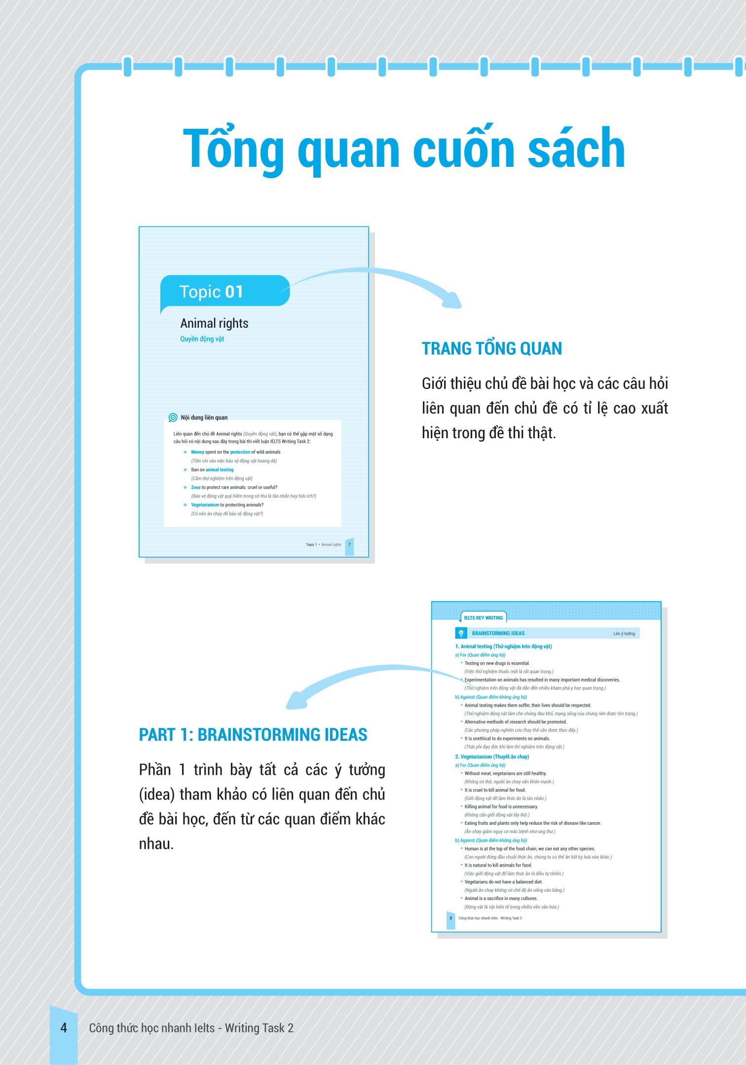 bộ ielts key writing - công thức học nhanh ielts - writing task 2 - Ảnh 3