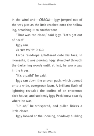 bộ iggy peck and the mysterious mansion: the questioneers book #3 - Ảnh 10