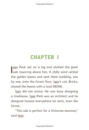 bộ iggy peck and the mysterious mansion: the questioneers book #3 - Ảnh 6