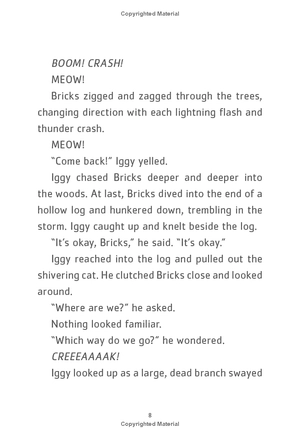 bộ iggy peck and the mysterious mansion: the questioneers book #3 - Ảnh 9