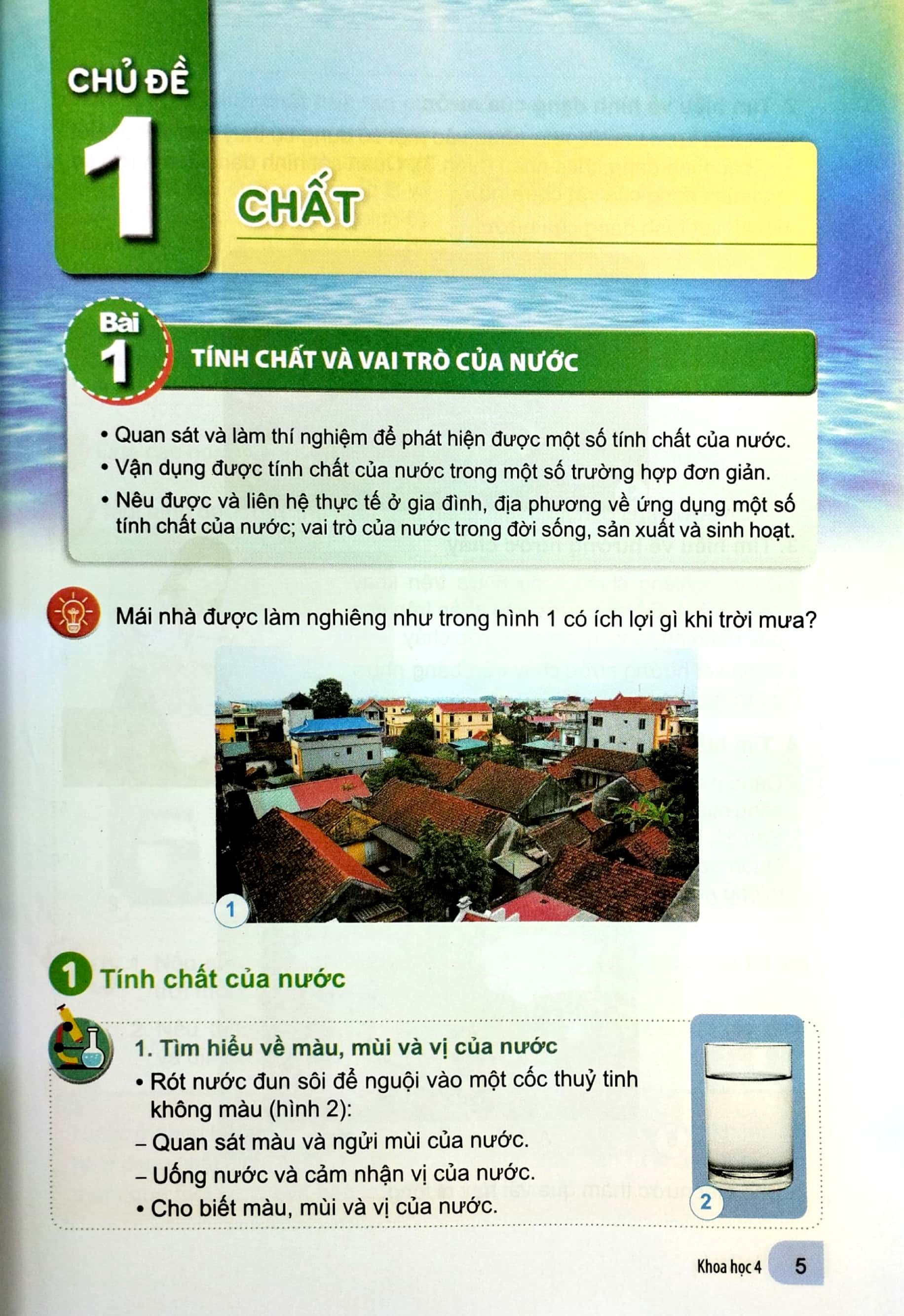 bộ khoa học 4 (cánh diều) (chuẩn) - Ảnh 4