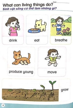 bộ khoa học tiền tiểu học song ngữ - sách học 4 - Ảnh 5