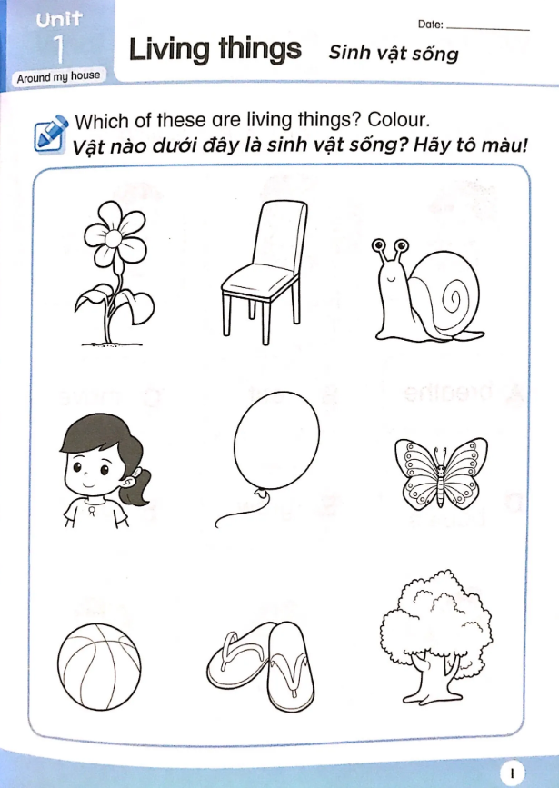 bộ khoa học tiền tiểu học song ngữ- sách luyện tập 4 - Ảnh 4