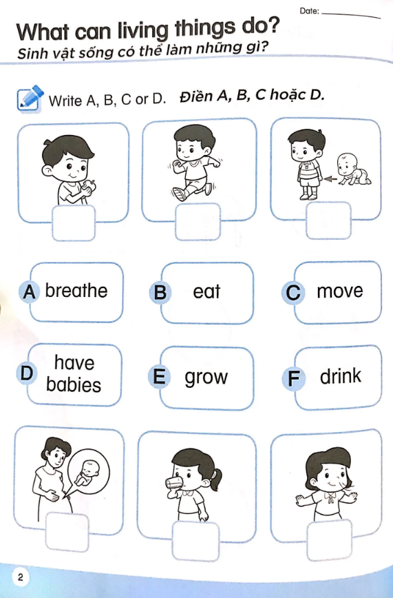 bộ khoa học tiền tiểu học song ngữ- sách luyện tập 4 - Ảnh 5